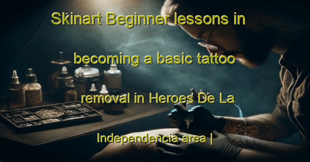 Skinart Beginner lessons in becoming a basic tattoo removal in Heroes De La Independencia area | RemovalTraining | RemovalClasses | SkinartTraining-Mexico